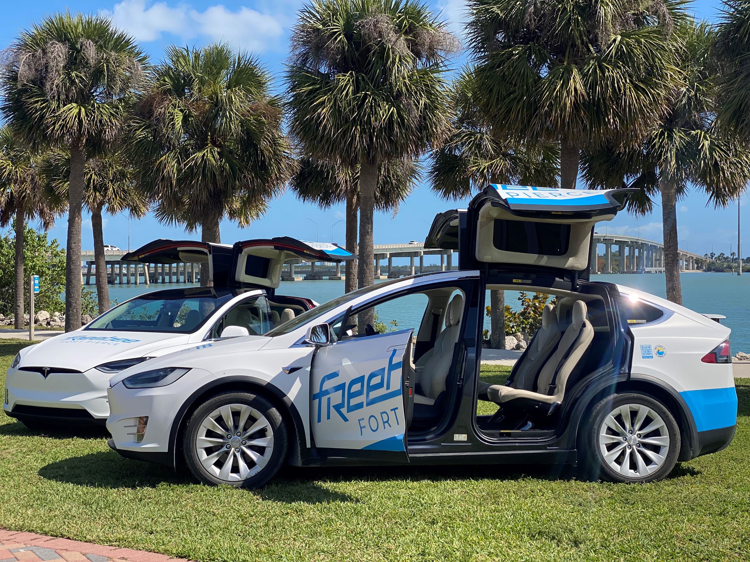 freebee tesla vehicle