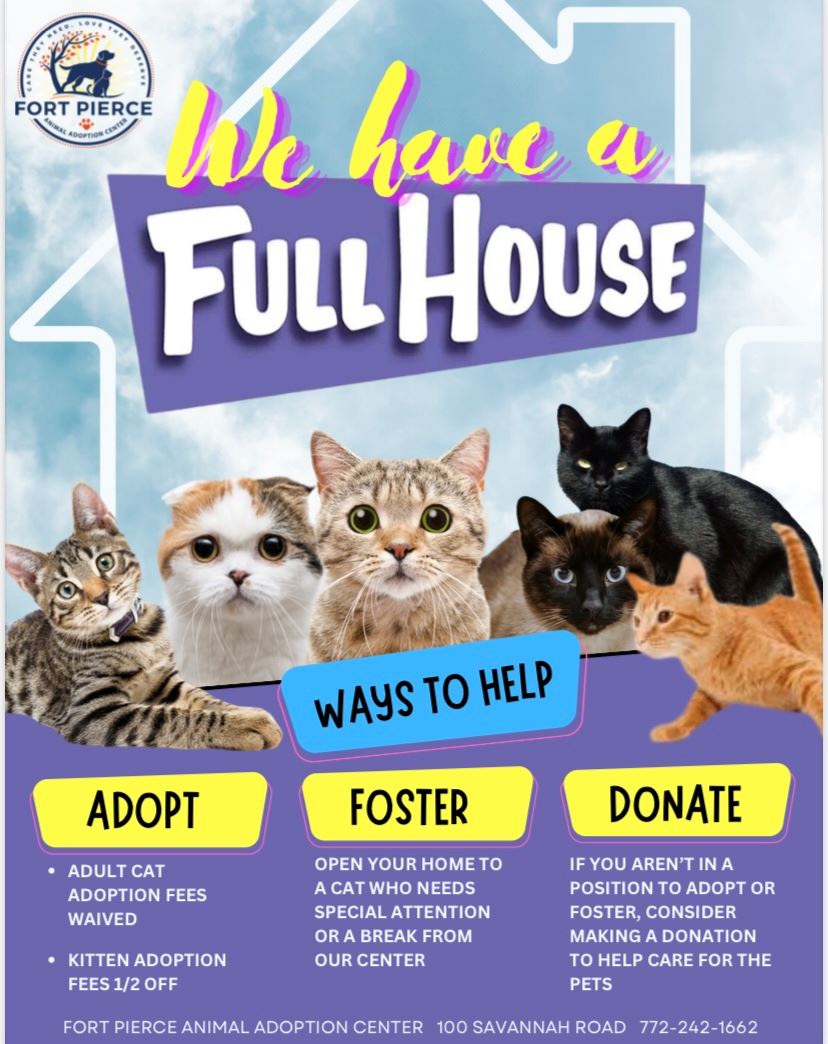 0117DB89-F569-4B82-A65B-28C14EF2B2C9